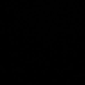 Meet your Posher, Kira